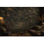 Papier peint Woodland-129445952-129445949