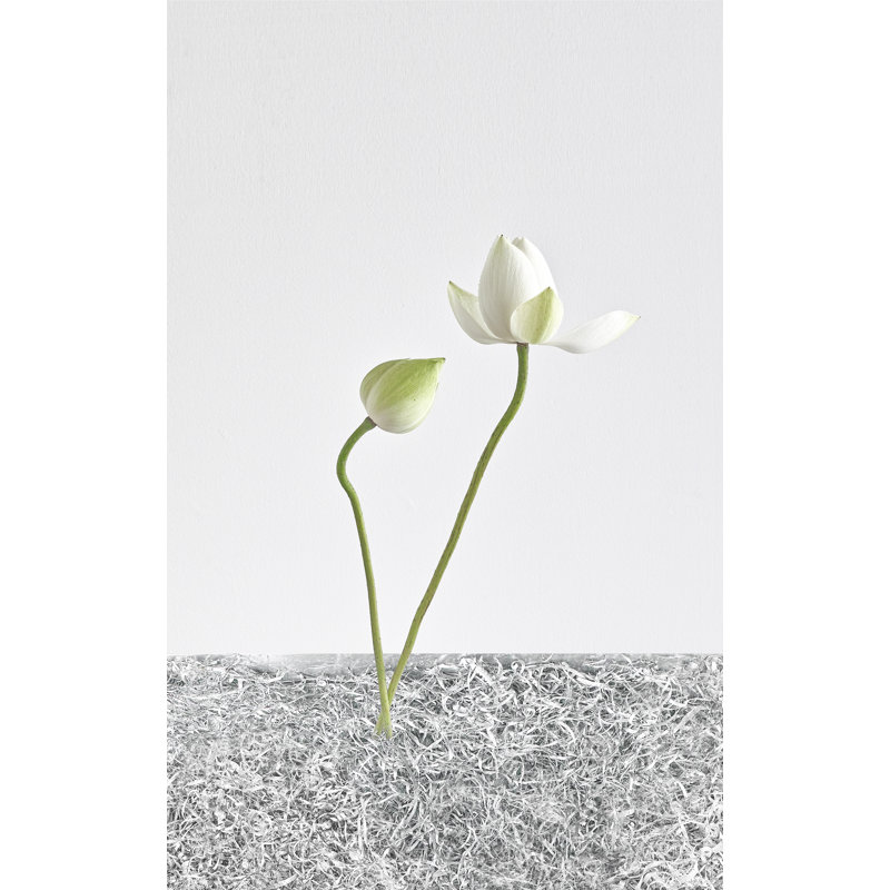 White Light #003 Print by Keiichiro Muramatsu