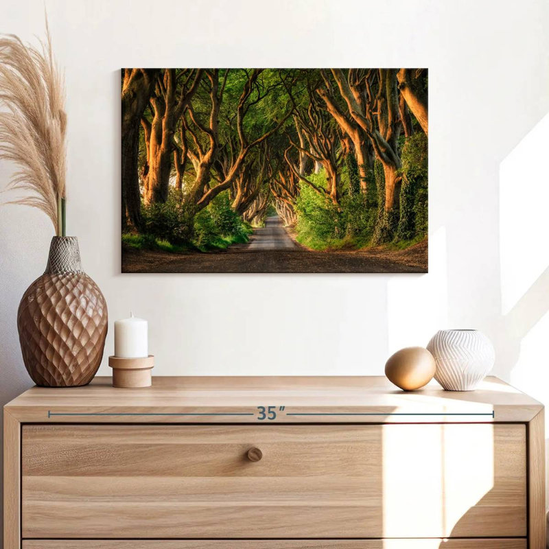 Kavia The Dark Hedges Forest Ballymoney, 16" H x 24" W