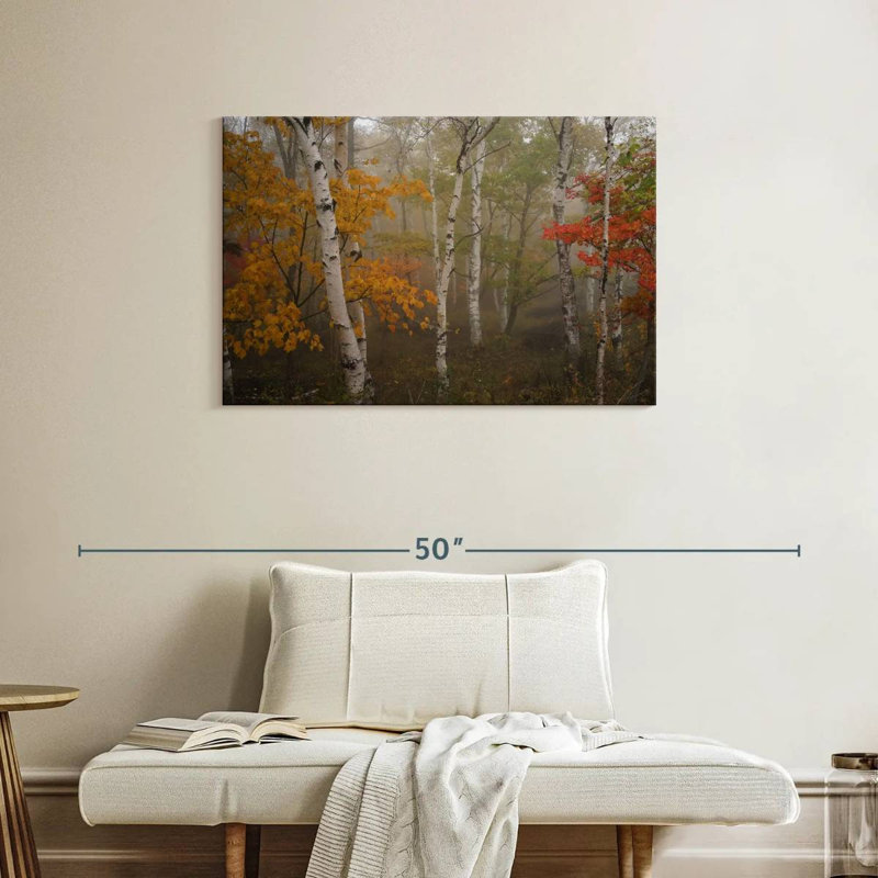 Alvord Autumn Birch Forest, H 24 po x l 36 po