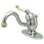 Polished Chrome/Polished Brass