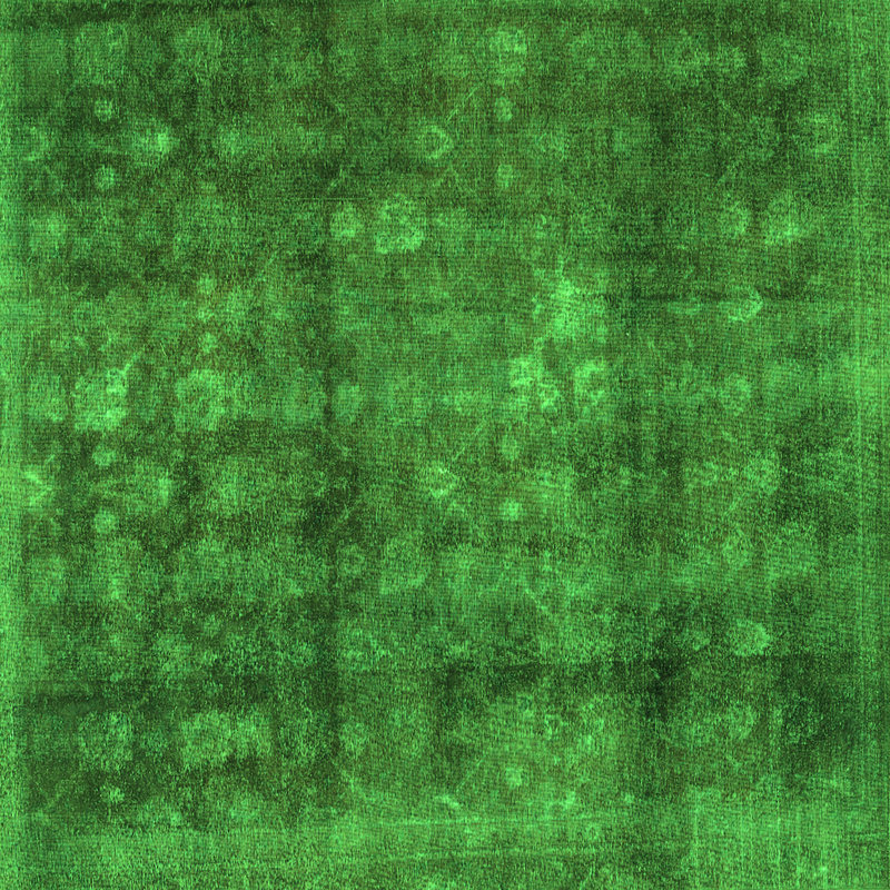 Elgene Performance Oriental Indoor Rug, Square 6'