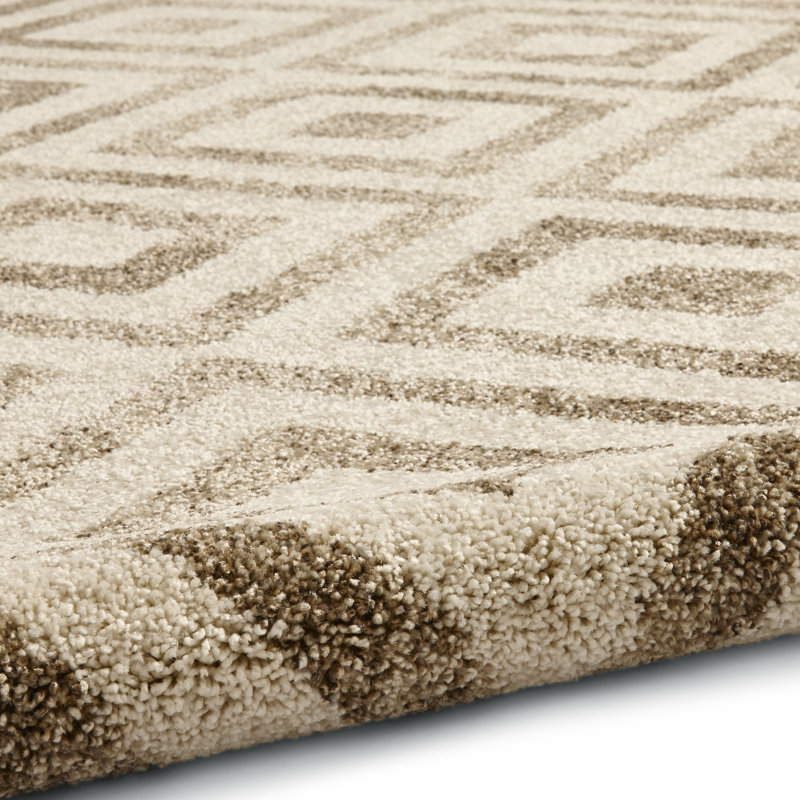 Swartz area rug Machine Woven Rectangle Beige, Rectangle 120 x 170cm