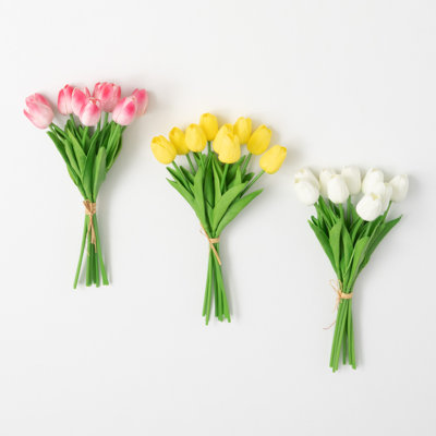 Tiges de tulipes Guisborough