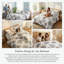 Ensemble de housse de couette en microfibre Infinity-188582510-188509405