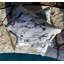 Sallie Duncan Designs Square Indoor/Outdoor Pillow Cover & Insert