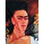 Jabran Parrots Slot Top Blackout Curtains-1499982258