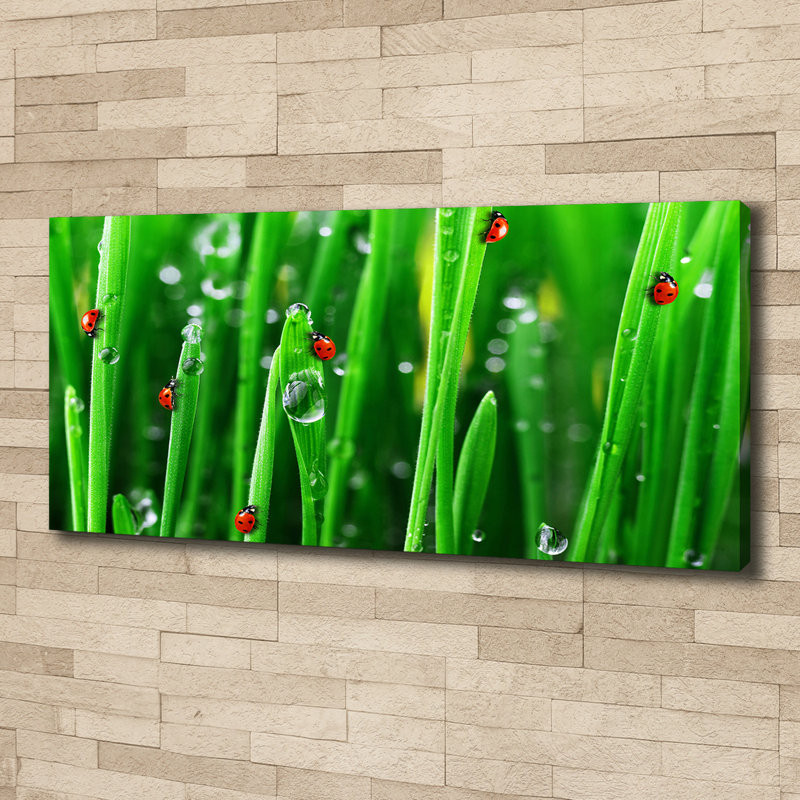 Ladybugs On The Grass - Wrapped Canvas Print