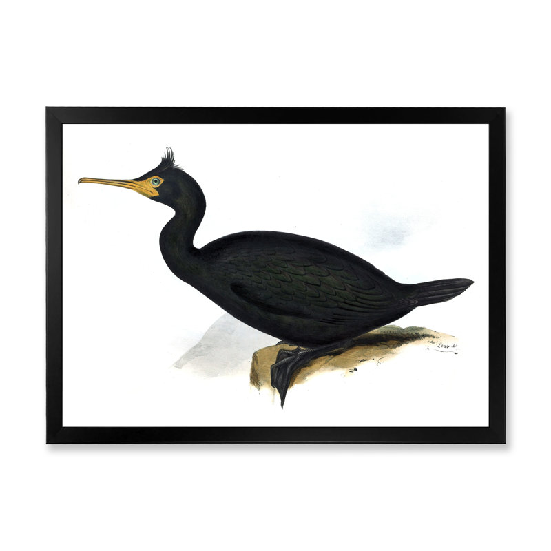 Vie d'oiseau rétro IV - peinture sur toile, H 16 po x l 32 po x p 1 po, Cadre photo noir