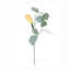 Squash Vine Stem
