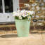 Dinardo Pot Planter-1955219778-1955219777
