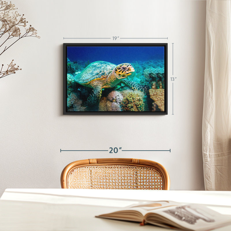 Tortue sous l'eau, impression sur toile, H 13 po x l 19 po