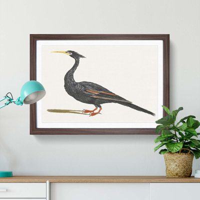 Water Bird by Johan Teyler - Picture Frame Art Print