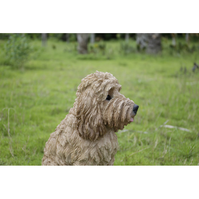 Statue cockapoo assis, Crème