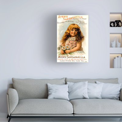 American School Ayers Sarsaparilla, 1890S Canvas Art