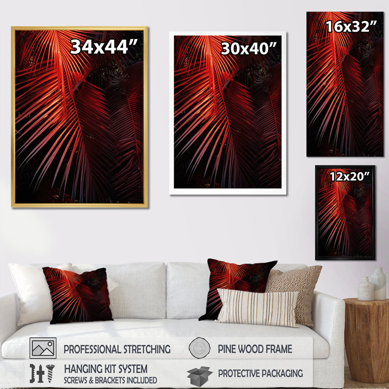 " Monochrome Red Plams Photo I ", White Framed, 40" H x 30" W x 1.5" D