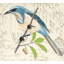 Coussin Avian-100638611-10168127