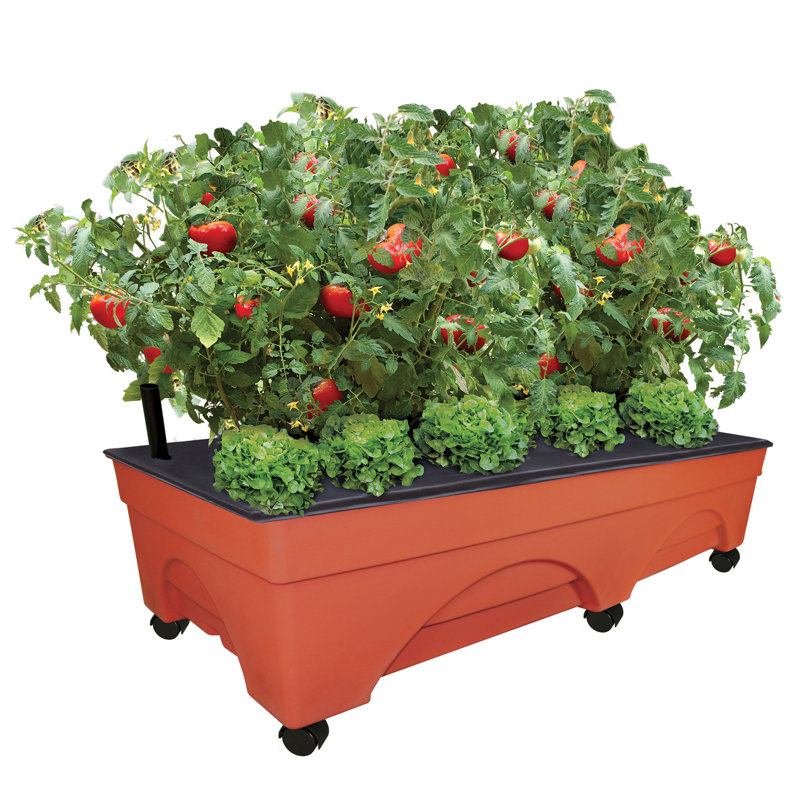 Ilies Planter Box