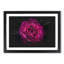 Fuscia Pink Carnation - Picture Frame Graphic Art Print-56863276-56863277