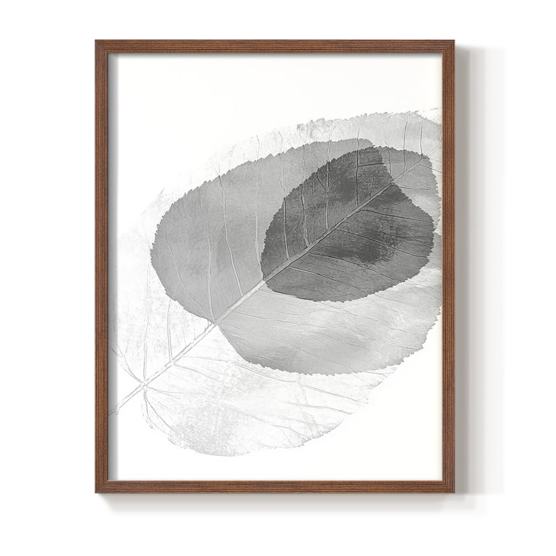 Floral XLI, reproduction encadrée - prête à être accrochée - fabriquée aux États-Unis, H 14 po x l 11 po, Brun