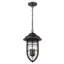 Hitchcock 3 - Light Outdoor Pendant-235758192
