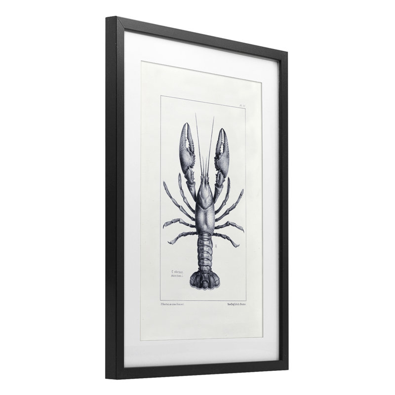 Reproduction scientifique sous-verre encadrée de scientifiques par Tina Higgins Designs Inc., H 20 po x l 14 po