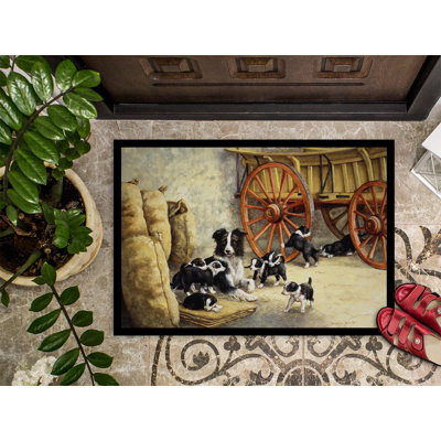 Non-Slip Outdoor Doormat