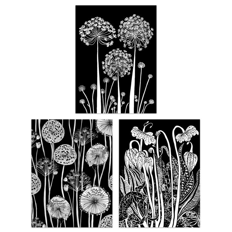 Elegant Allium And Arisaema Flowers Artwork White On Black - 3 Piece No Frame Print Set, 29.7cm H x 21cm W x 0.4cm D