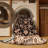 Machine Washable Persian Brown Area Rug-323611887