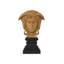 Bust