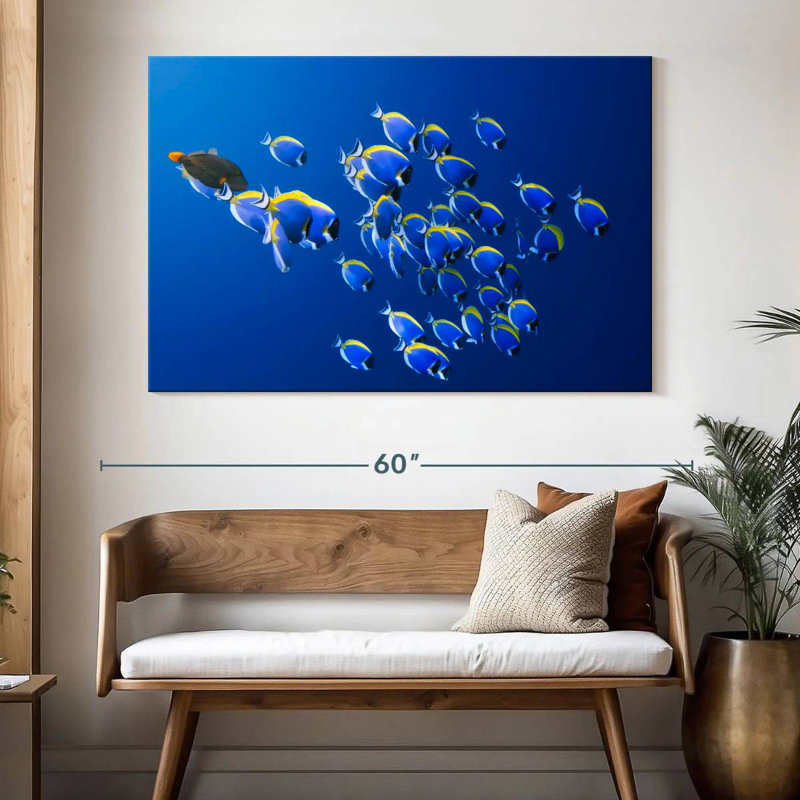 Underwater Blue Tangs