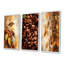 Harmonie minimale du grain de café-1617032481-1617032490