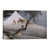 Toile tendue