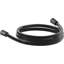 Awaken Ribbon Hose-1697200977-1705968215