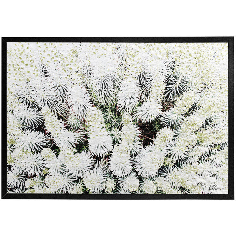 Single Picture Frame Print, Black, 41cm H x 61cm W x 4cm D