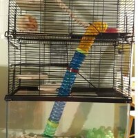 Tucker Murphy Pet™ Cecellia 3 Level Naturals Rat Cage & Reviews