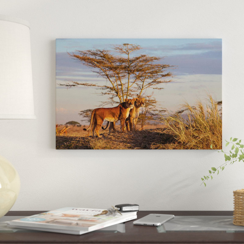 « soeurs », impression sur toile, H 26 po x l 40 po x P 1,5 po, Toile tendue, Pas de tapis