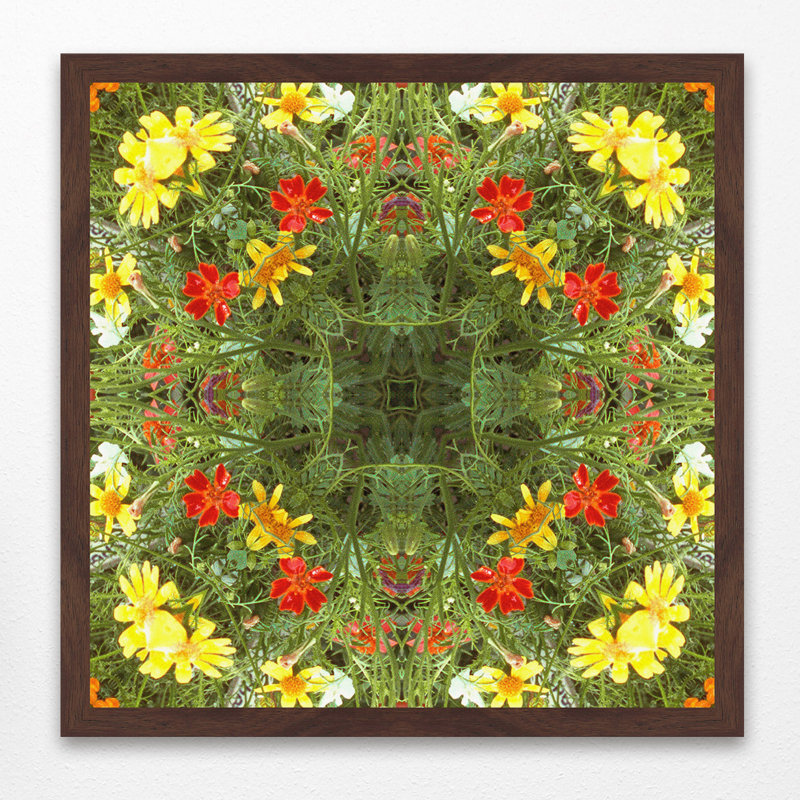 Judy Stalus - Single Picture Frame Print, 41cm H x 41cm W x 3.81cm D