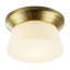 Flush Mount-1279895736