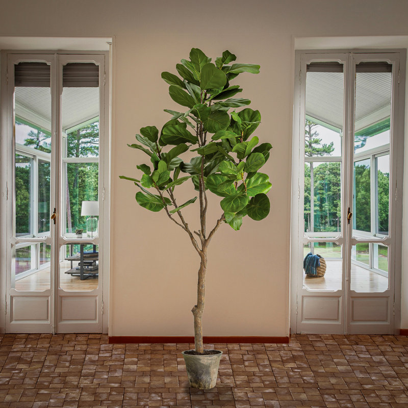 79'' Faux Fiddle Leaf Fig Tree in Ceramic Pot