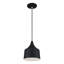 Luminaire suspendu Catrinia-121436243
