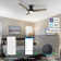 Elegis 44'' Ceiling Fan with LED Lights