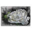 «Demure» par Barbara Keith, impression sans cadre-473503400