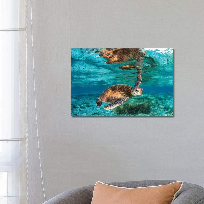 Hey You, 18'' H x 26'' W x 1.5'' D, No Matte, Wrapped Canvas