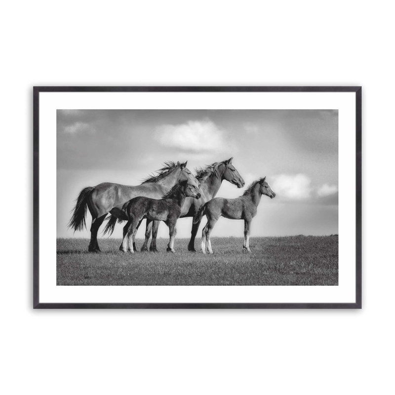 Famille de chevaux sauvages, H 9 po x l 11 po, Famille de chevaux sauvages, Cadre photo simple en zinc patiné