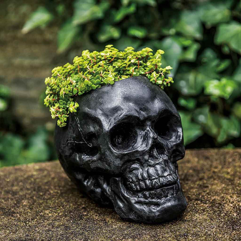 Pot à fleurs Skull, Pierre alpine