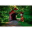 Covered Bridge, Yachats Print by Tom Kostes-1217015007