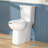 21＂Extra Tall Toilet With Soft-Close Seat, Two-Piece Toilet For Bathroom-122441632