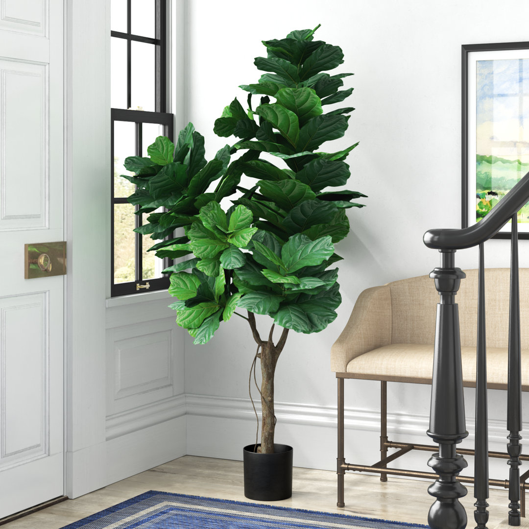 72'' Faux Fiddle Leaf Fig Plant in Pot Laurel Foundry Modern Farmhouse®