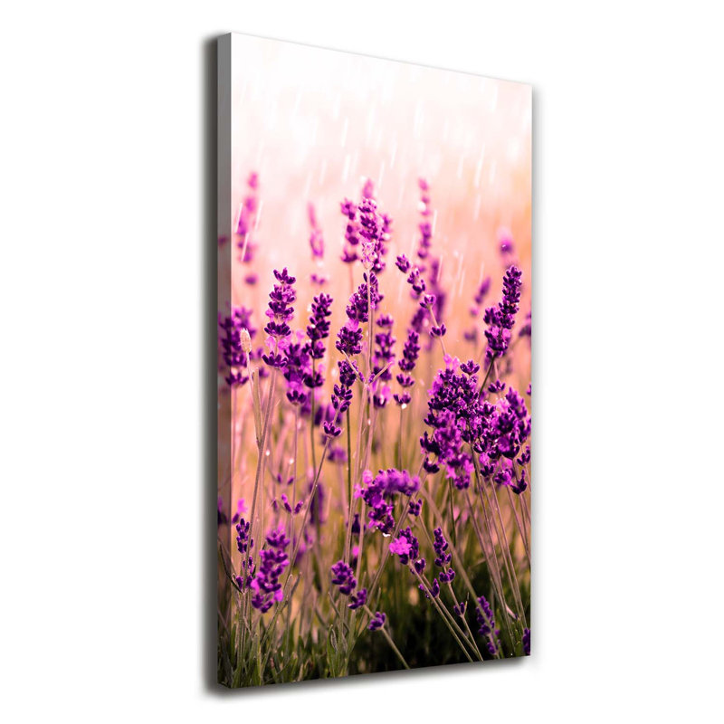Lavender Field - Wrapped Canvas Print